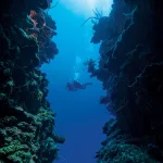 PADI Deep Diver Course in Sharm El Sheikh – Explore the Red Sea’s Depths with Pyramids Diving Center