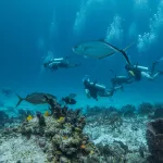 Discover Scuba Diving in Sharm El Sheikh with Pyramids Diving Center