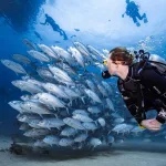 PADI Divemaster Internship in Sharm El Sheikh – Pyramids Diving Center