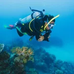 PADI Emergency First Response Instructor Training in Sharm El Sheikh – Pyramids Diving Center