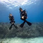 PADI Emergency First Response (EFR) Course in Sharm El Sheikh – Pyramids Diving Center