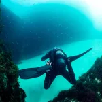 Complete Your PADI Open Water Diver Referral in Sharm El Sheikh – Pyramids Diving Center